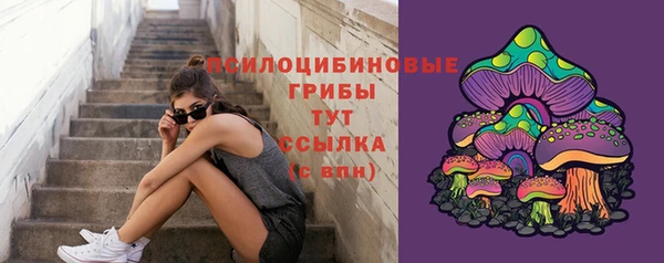 сатива Алексеевка