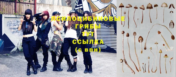 a pvp Семикаракорск