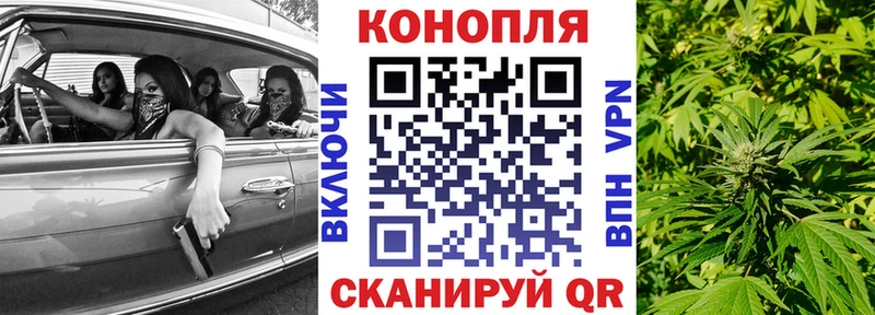 наркотики  Жуков  Шишки марихуана планчик 